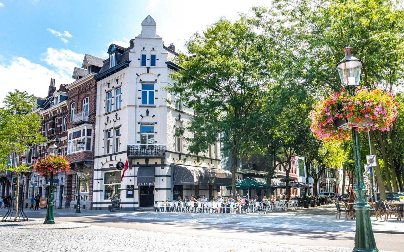 Alex Maastricht — photo 2